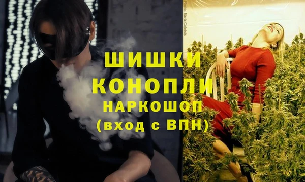 дживик Ладушкин