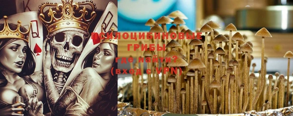 индика Грязовец