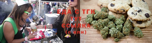гидра Дегтярск