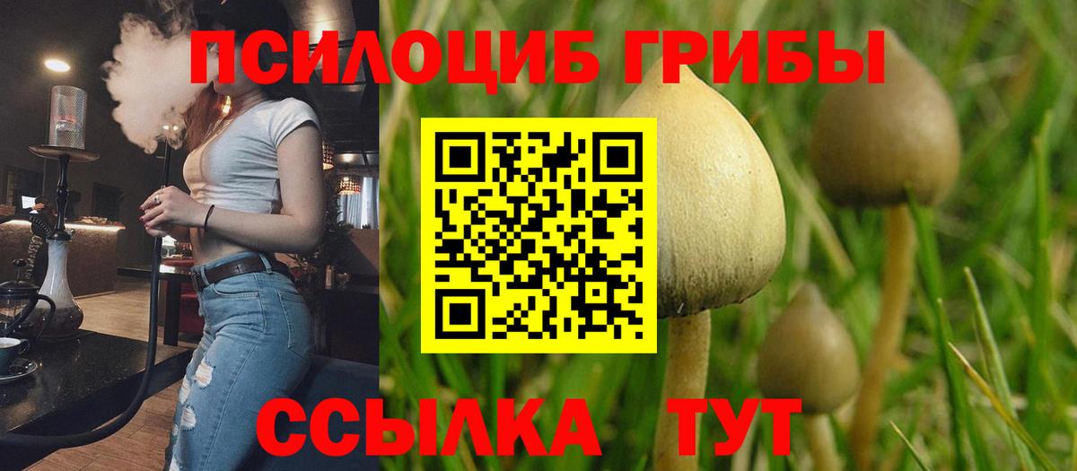 Галлюциногенные грибы мухоморы Можайск